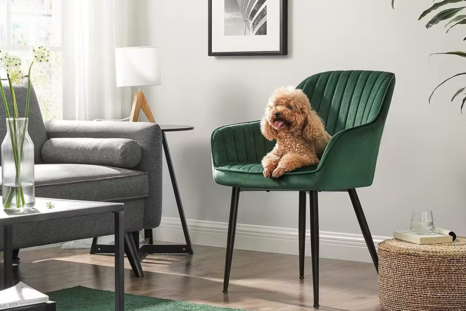 Songmics Armrests Lounge Dining Chairs | Green