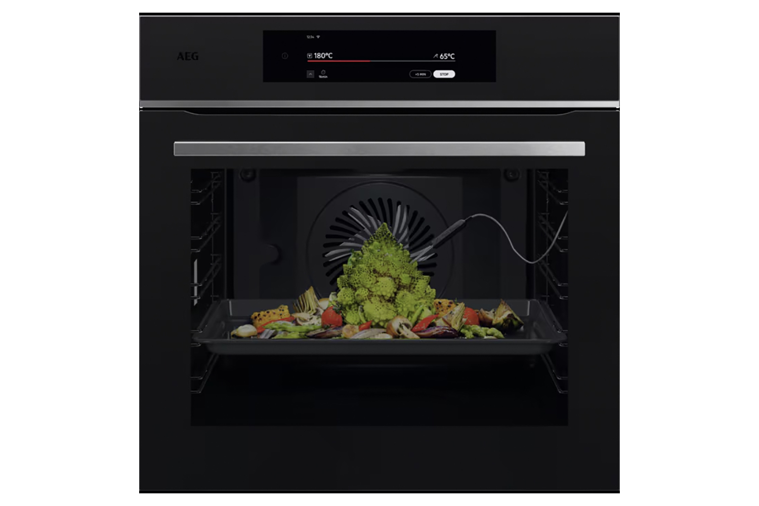 AEG 9000 ProAssist Built-in Pyrolytic Single Oven | TT9PB831AT | Matt Black