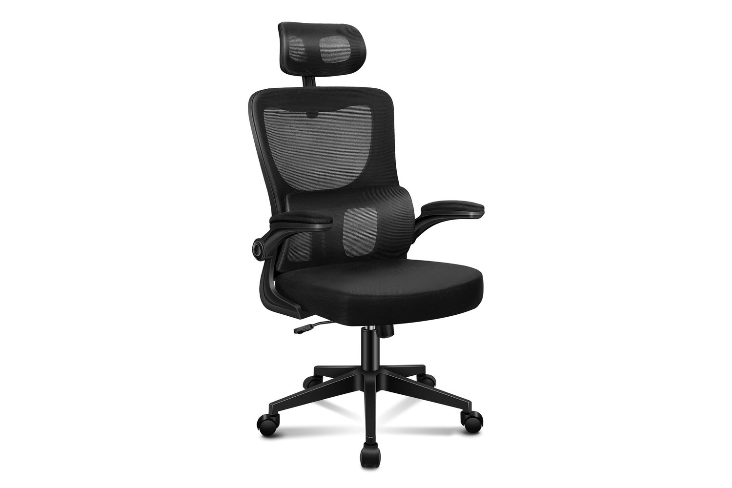 Elfordson Ergonomic Office Chair with Headrest Dynamic Lumbar Support Padded | Black