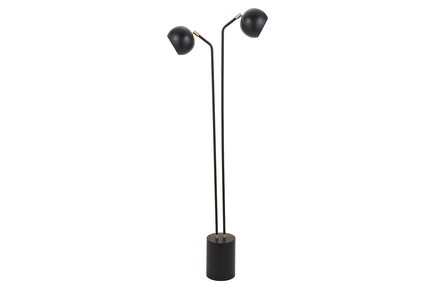 Bailey 2 Head Floor Lamp | Black