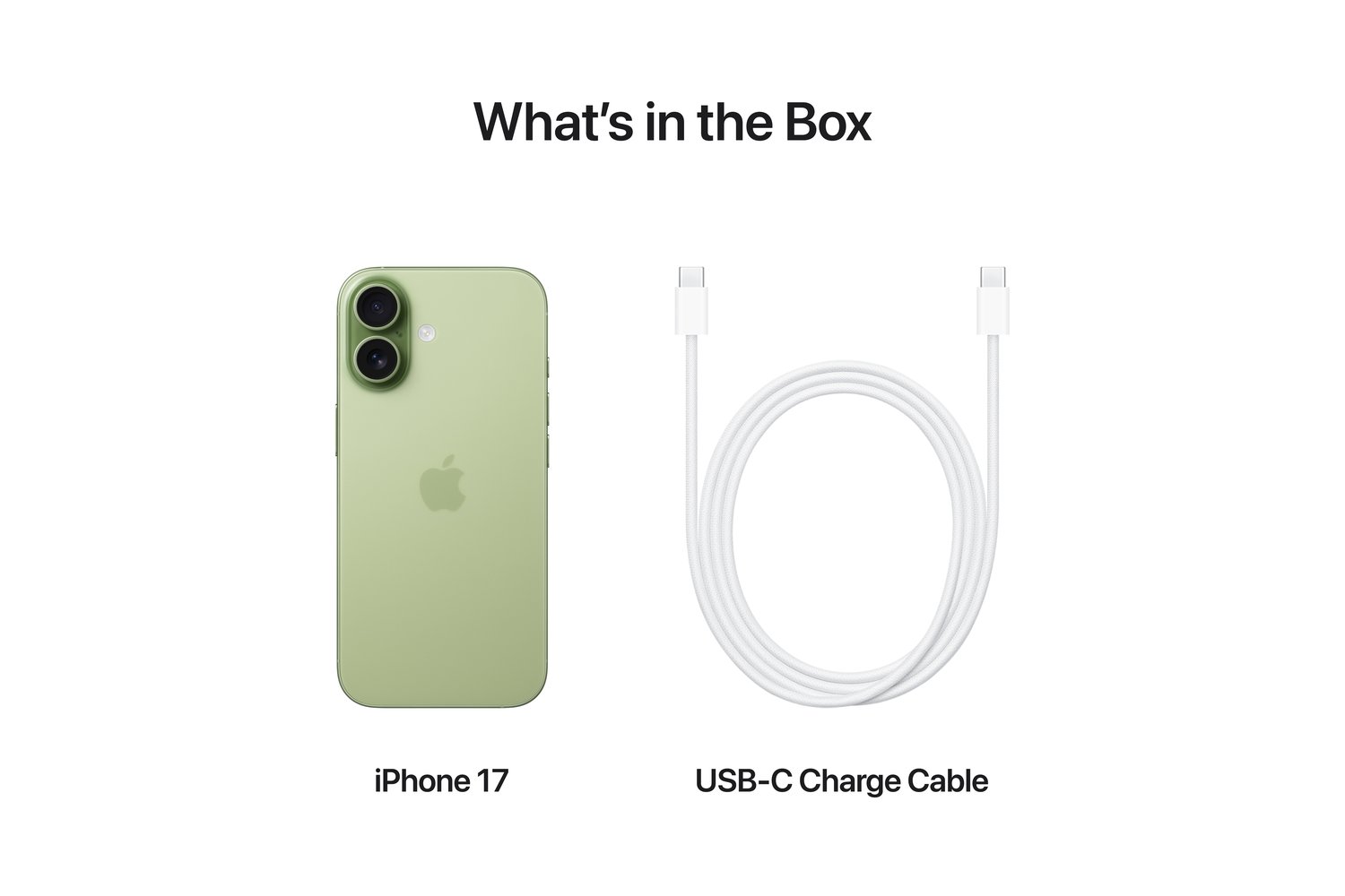 iPhone 17 | 5G | 256GB | Sage