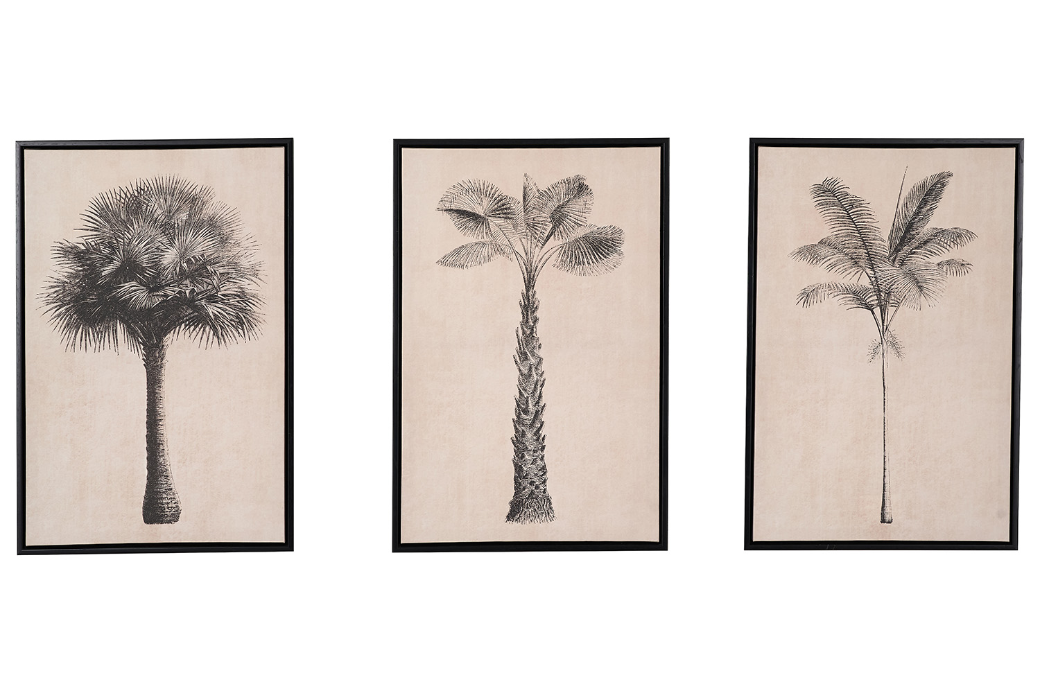 Palm Tree Print Canvases | Natural/Black | 40 x 60 cm | Set of 3