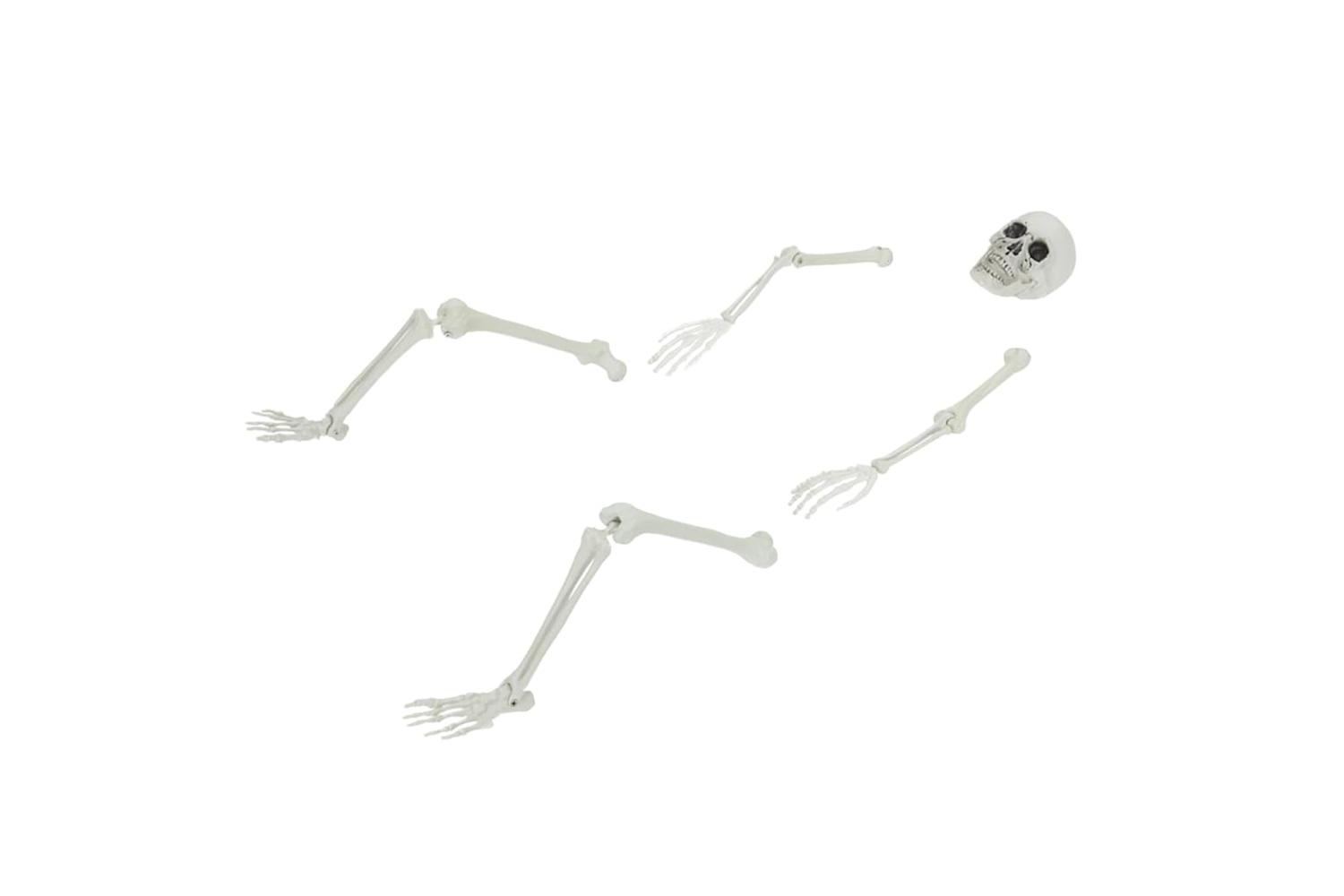 Vidaxl Halloween Skeleton White 20 X 10 X 95 Cm Plastic