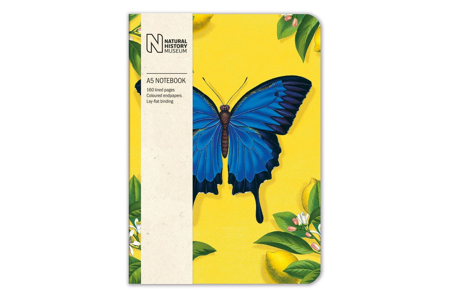 A5 Notebooks - Ulysses Butterfly - Gift Stationery