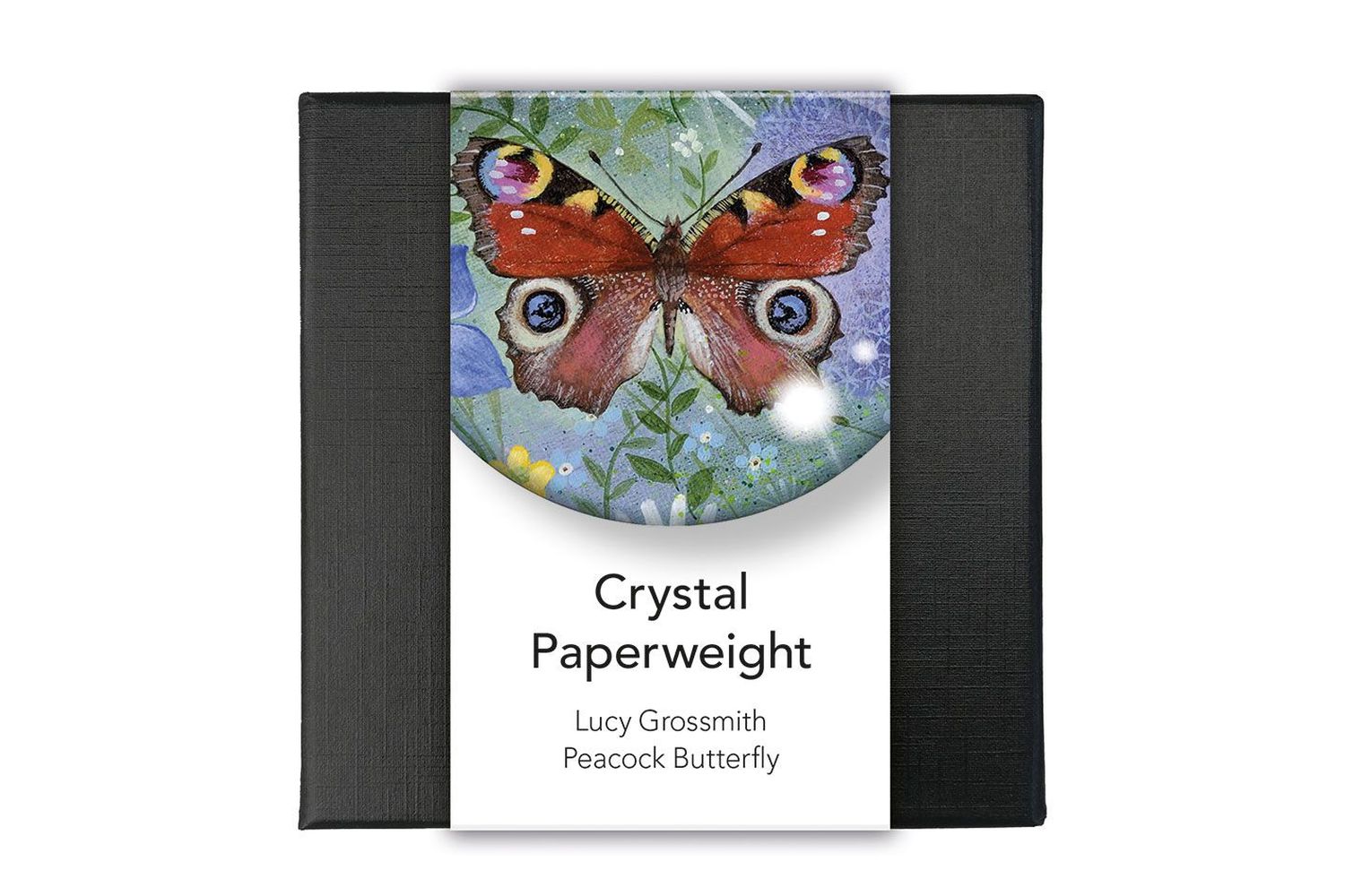 Paperweights - Peacock Butterfly - Home Giftware