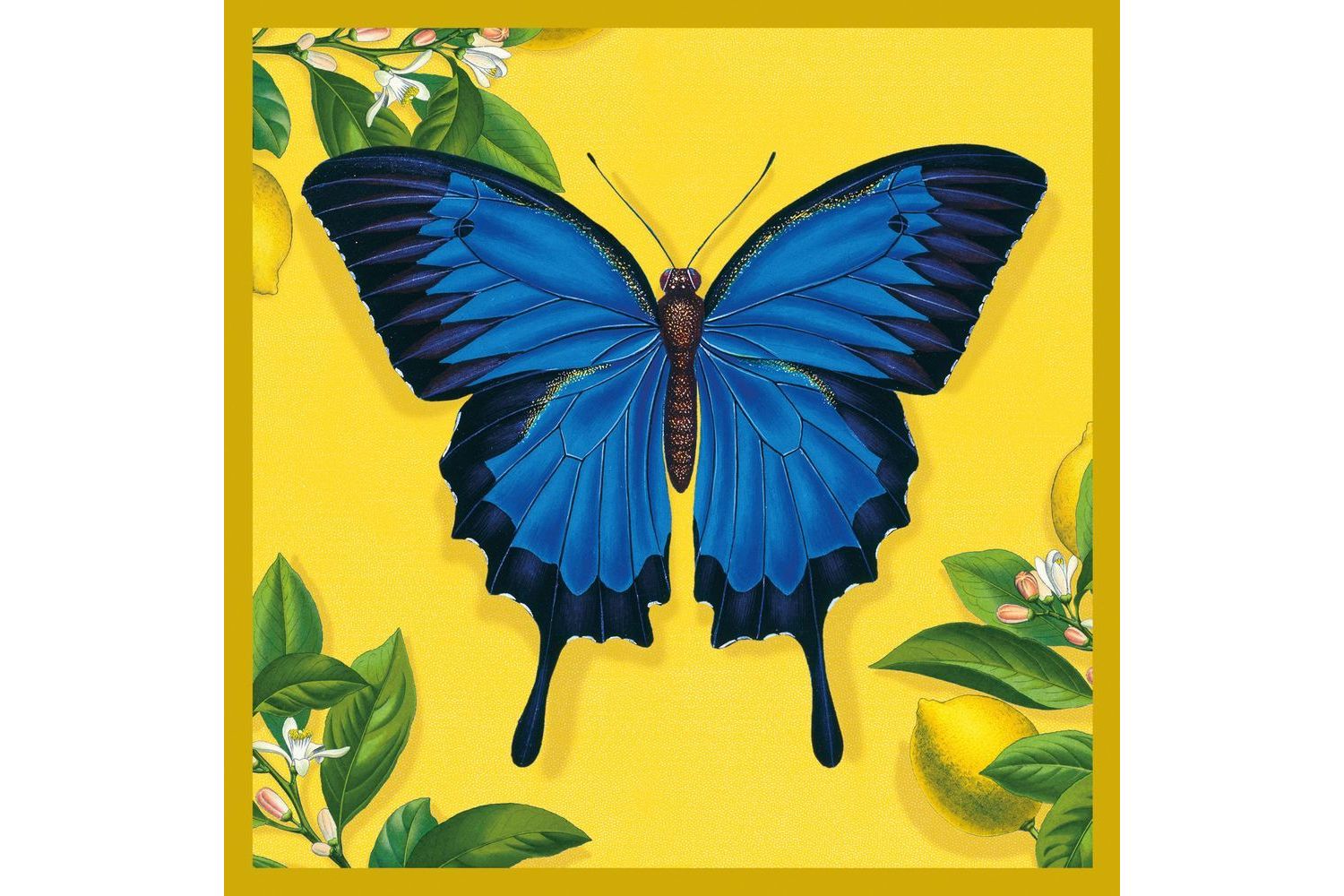 E Theme Notecards - Exotic Animals - Notecards Wallets