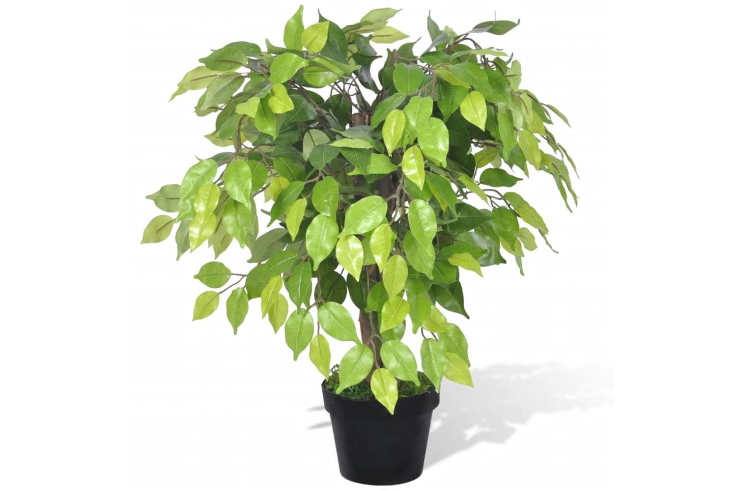 Artificial Dwarf Ficus With Pot 60 Cm