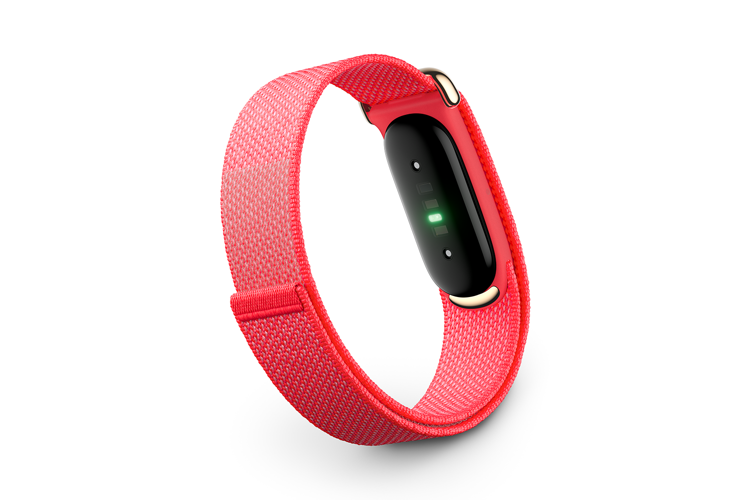Google Fitbit Air | Berry