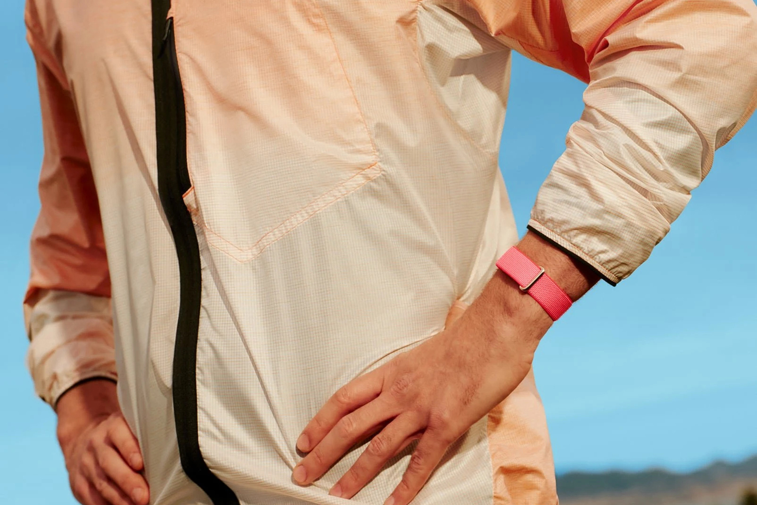 Google Fitbit Air | Berry/Champagne Gold