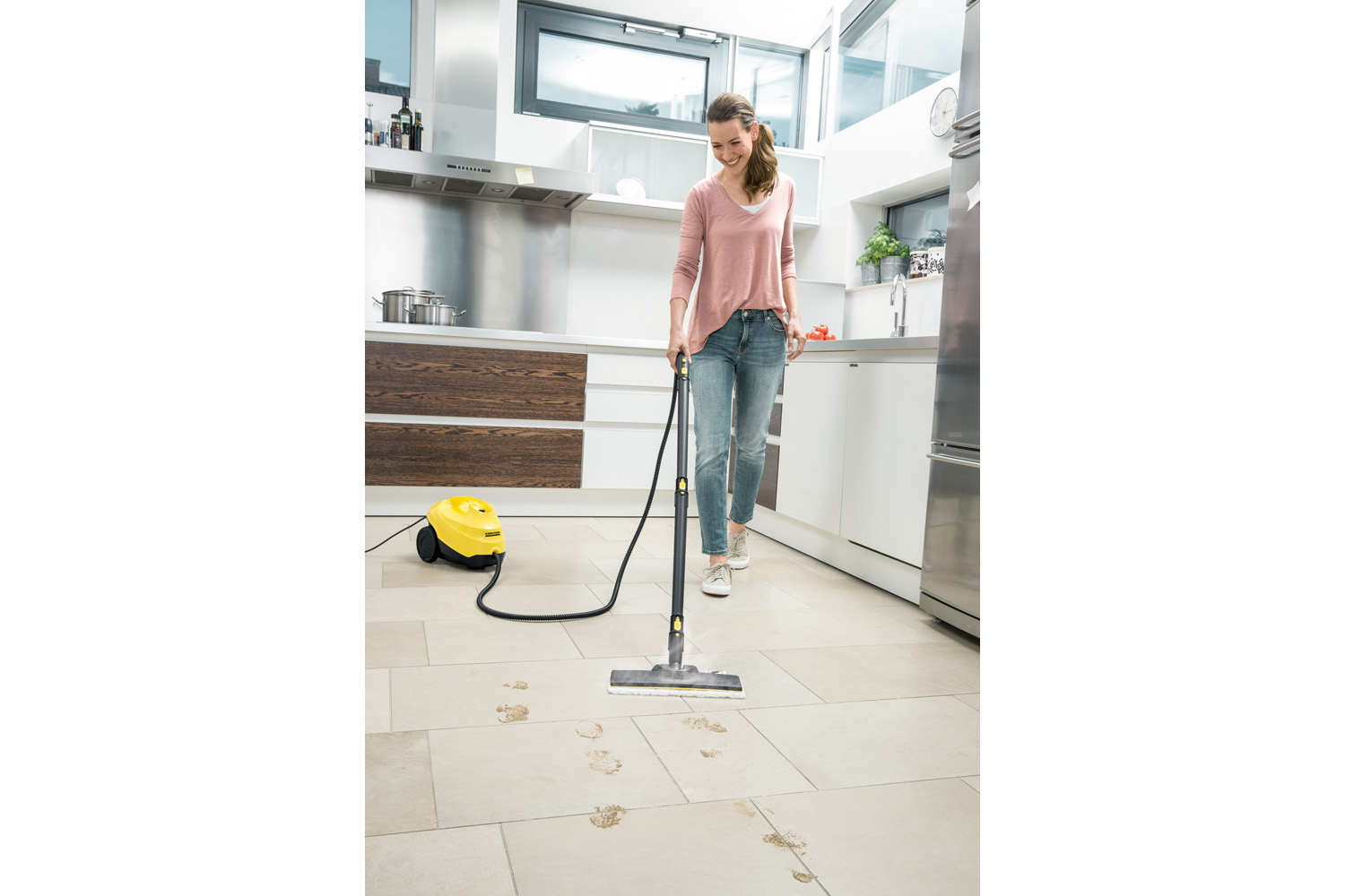 Steam & Carpet Cleaners Buy Online in Ireland Ireland