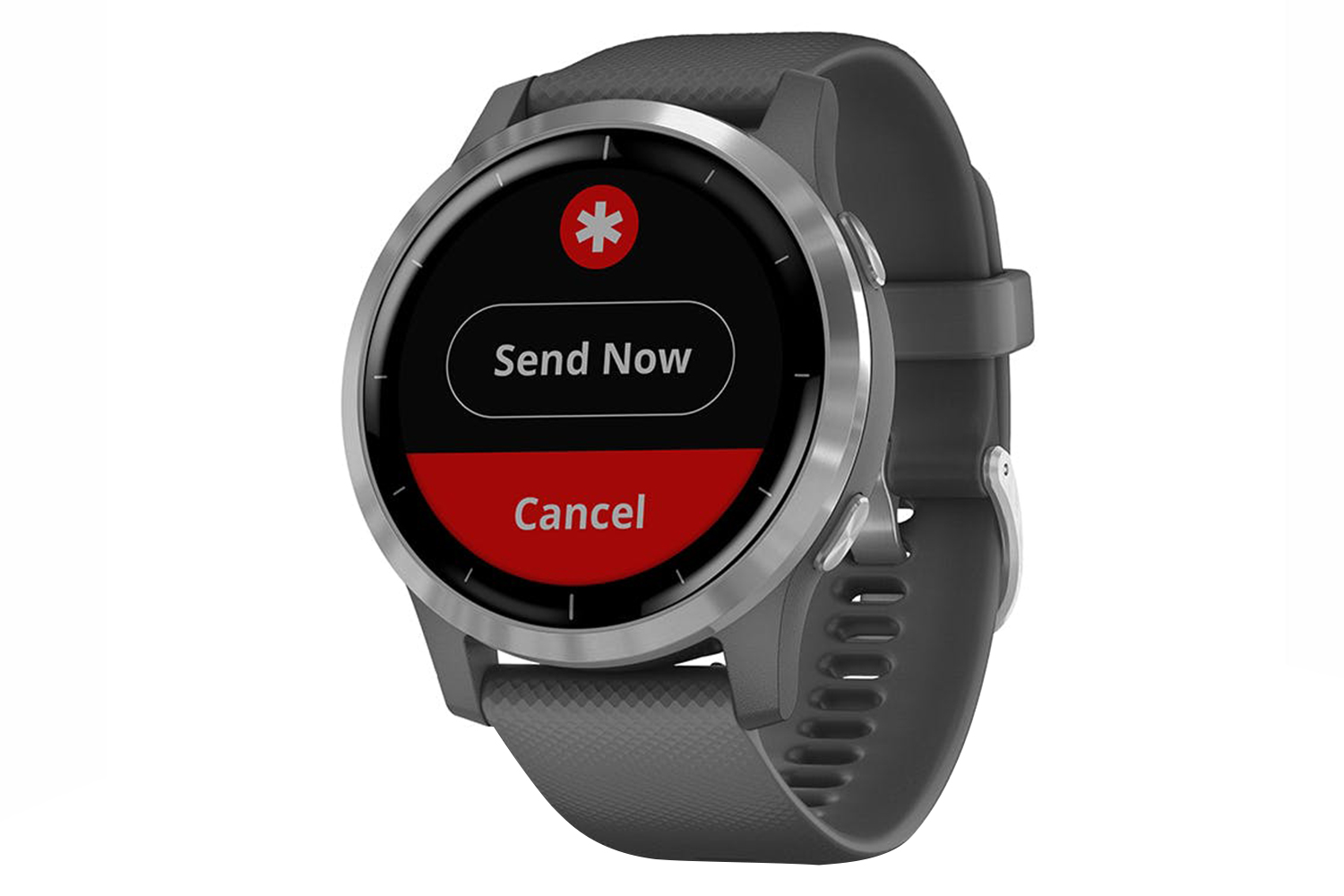 Garmin VivoActive 4 Sports Watch | Shadow Grey/Silver | Ireland