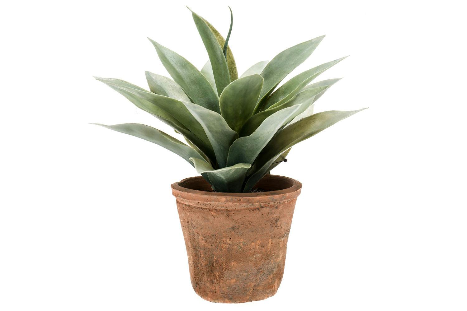 Agave Artificial Plant in Terracotta Pot | 19 cm