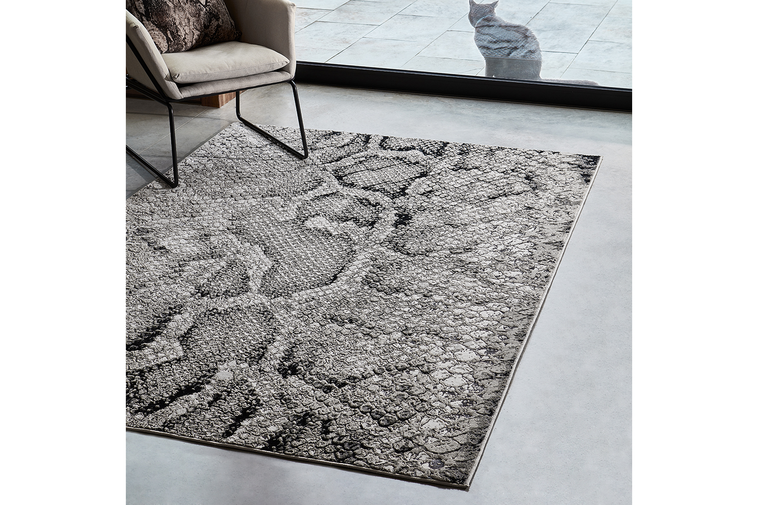 All Rugs Harvey Norman Ireland