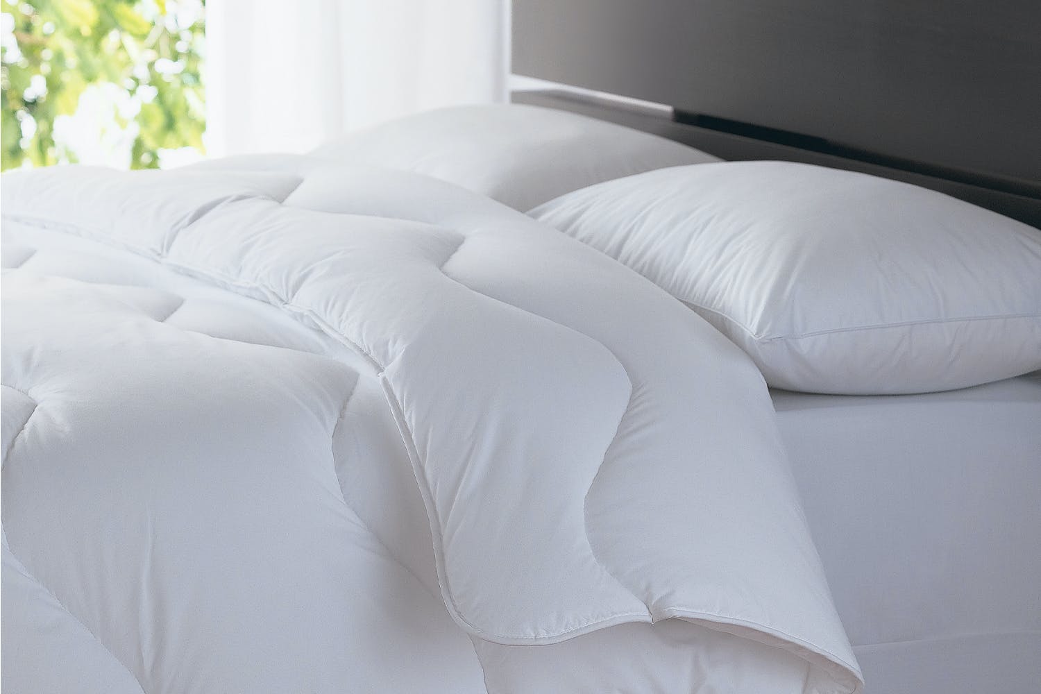 Pillows Harvey Norman Ireland