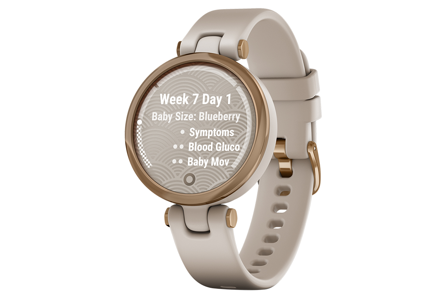 garmin lily sport cena