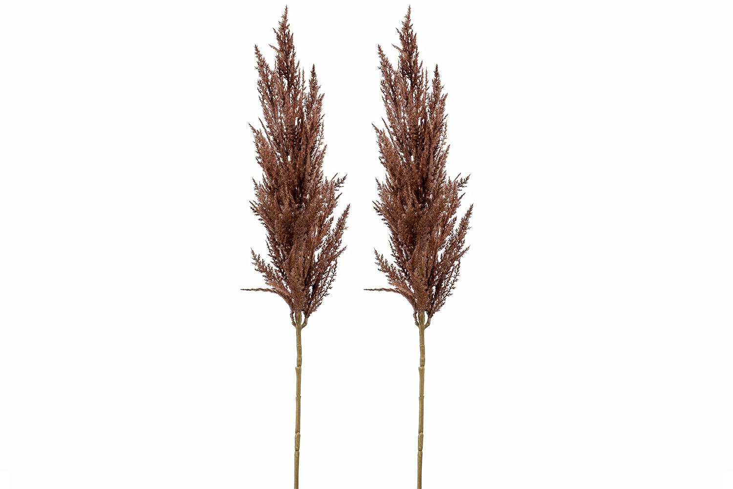 Pampas Grass Spray | Brown | 92 cm | Bundle x2
