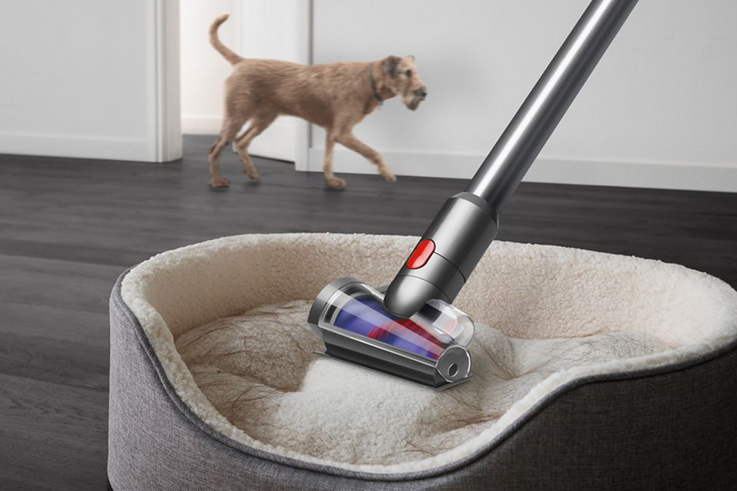 Dyson V15 Detect Absolute Cordless 
