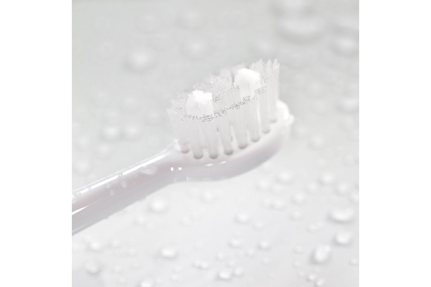 Spotlight Oral Care Sonic Toothbrush Replacement Heads | White