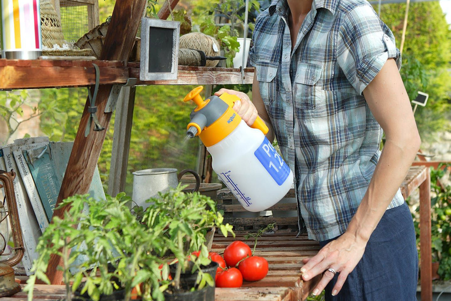 Hozelock Spraymist Pressure Sprayer | 1.25L