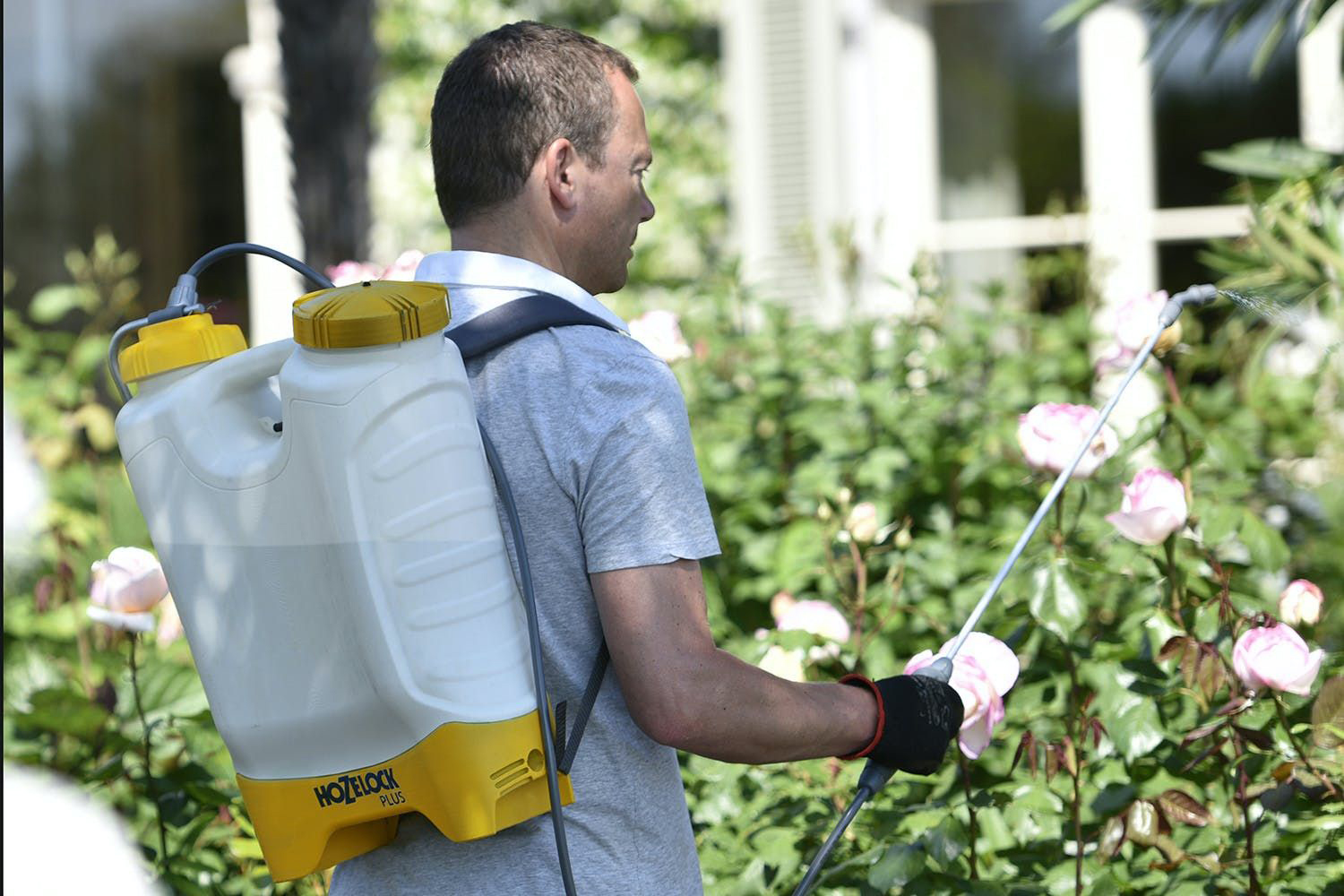 Hozelock Pulsar Plus Comfort Knapsack Sprayer | 12L