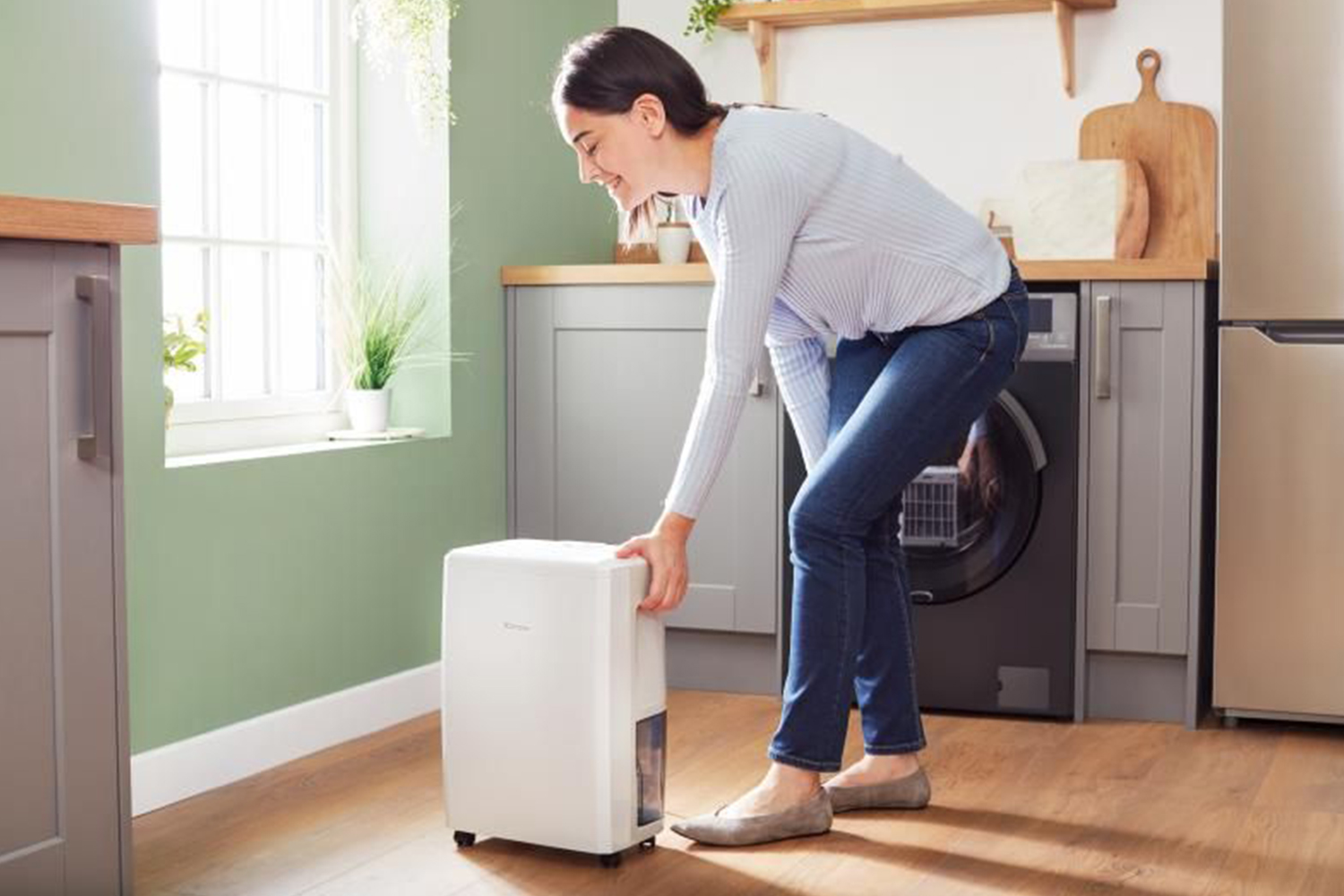 Dimplex 10L Dehumidifier | EVERDRI10E | White/Light Grey