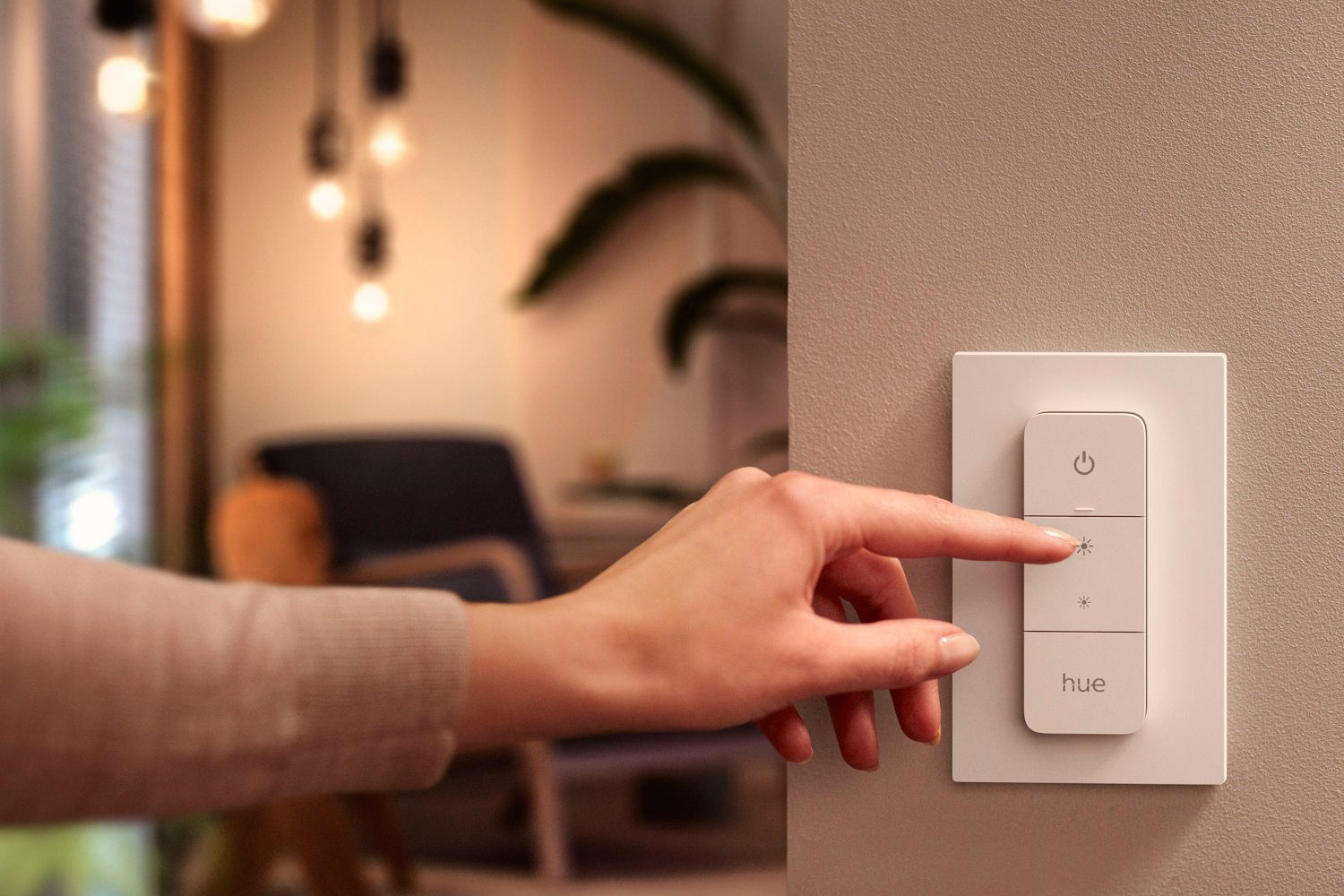 Philips Hue Dimmer Switch | White