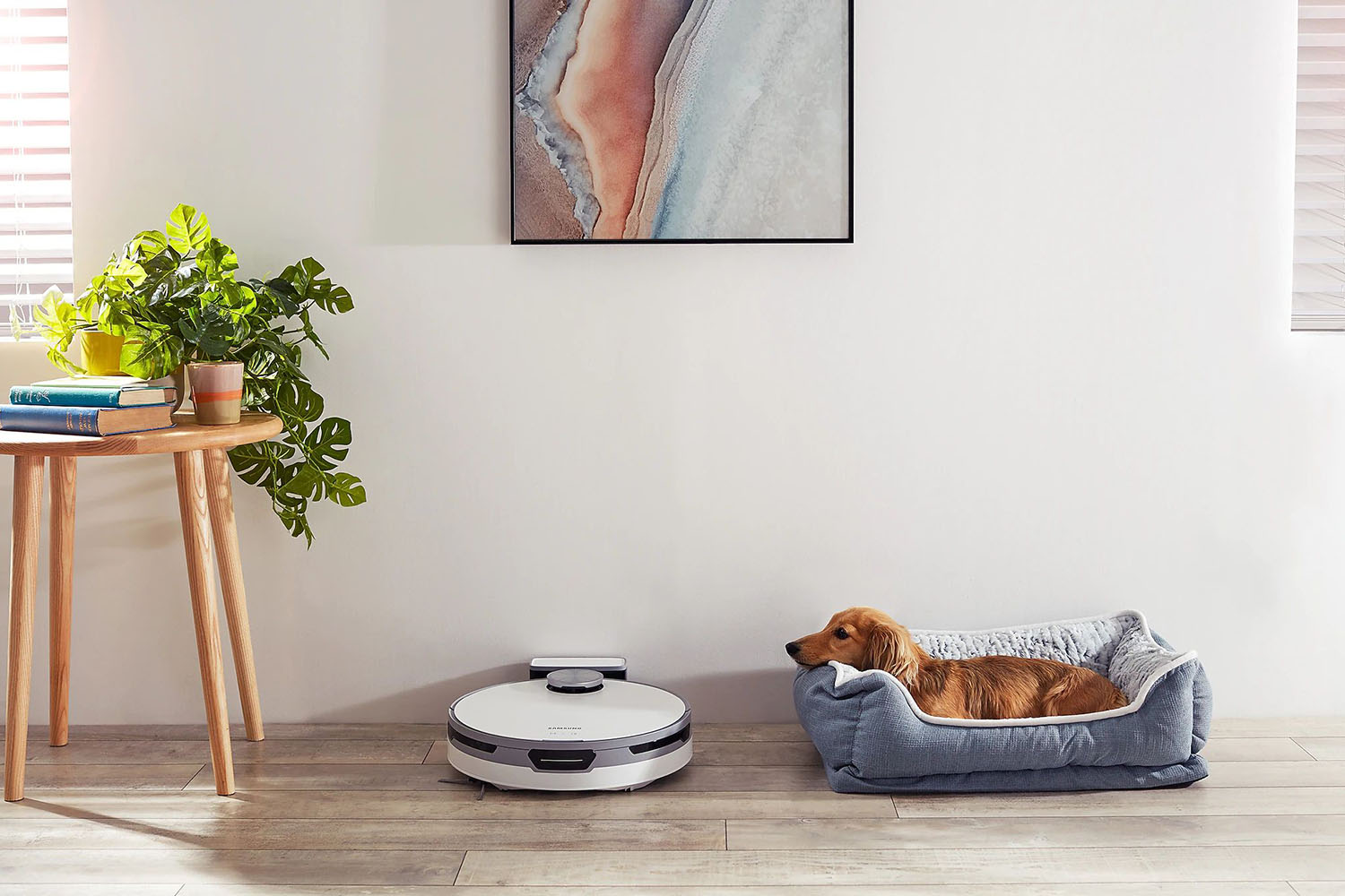 Robot Vacuum Cleaners Ireland