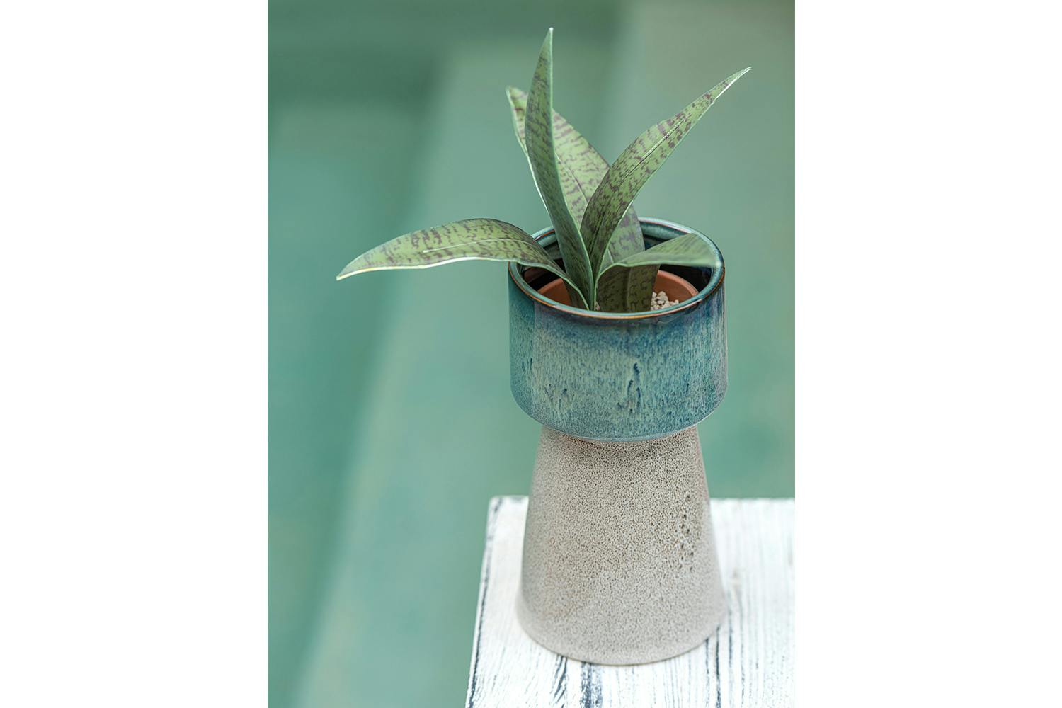 Lina Flower Pot | Ceramic Green | Large | 13.5 x 25 cm
