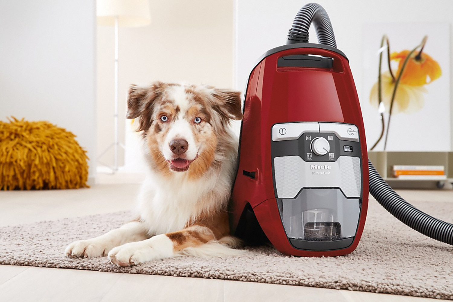 Miele Blizzard CX1 Cat & Dog SKCF5 Bagless Cylinder Vacuum Cleaner | BLIZZARDCAT&DOG