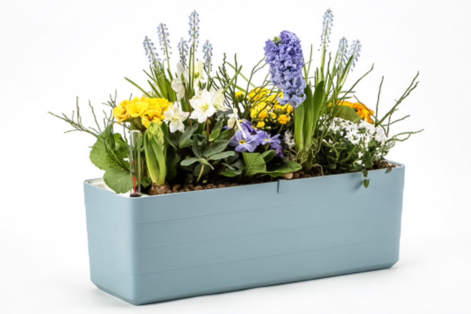 Plastia Berberis Flower Box | Blue & White | 60cm