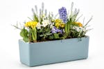 Plastia Berberis Flower Box | Blue & White | 60cm