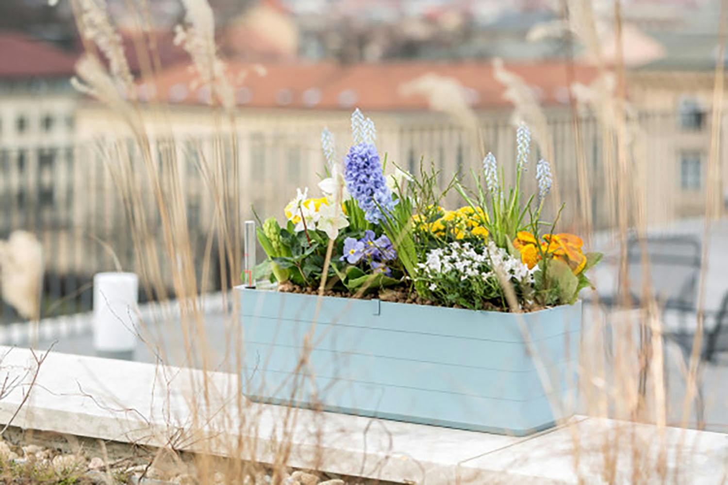 Plastia Berberis Flower Box | Blue & White | 60cm