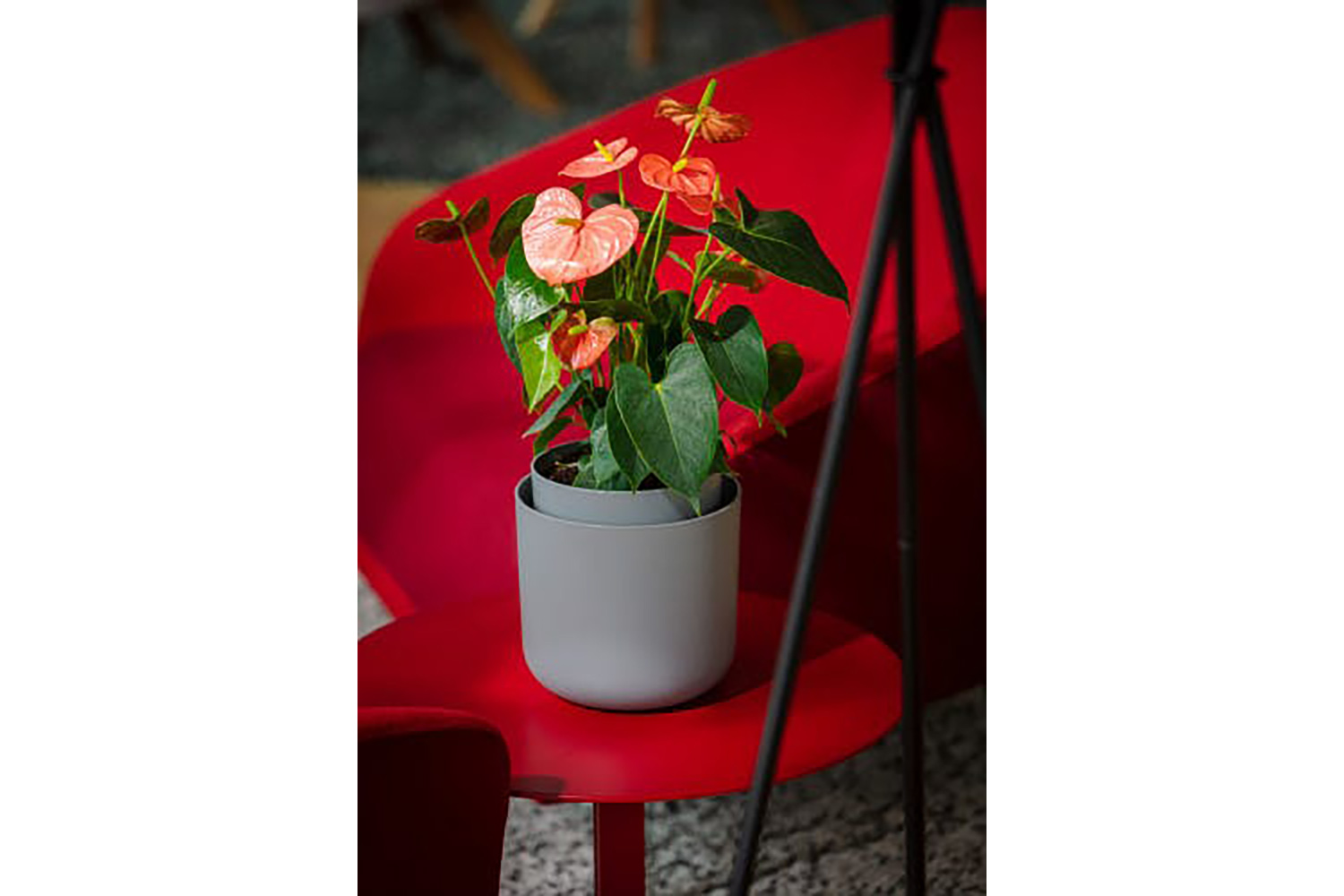 Plastia Tolita Flower Pot | Grey | 19cm