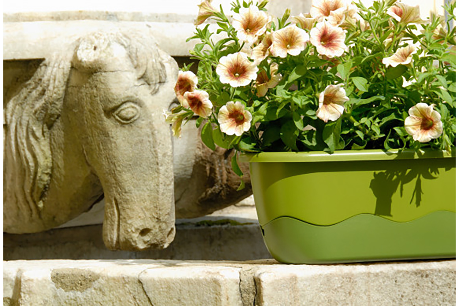 Plastia Mareta Flower Box | Green | 60cm