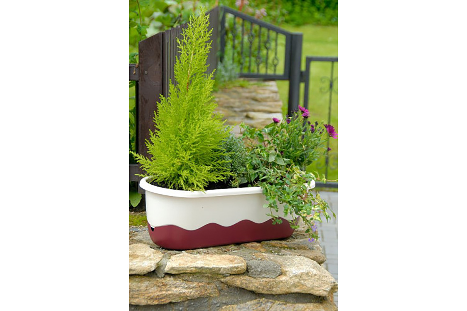 Plastia Mareta Flower Box | Beige & Wine Red | 60cm