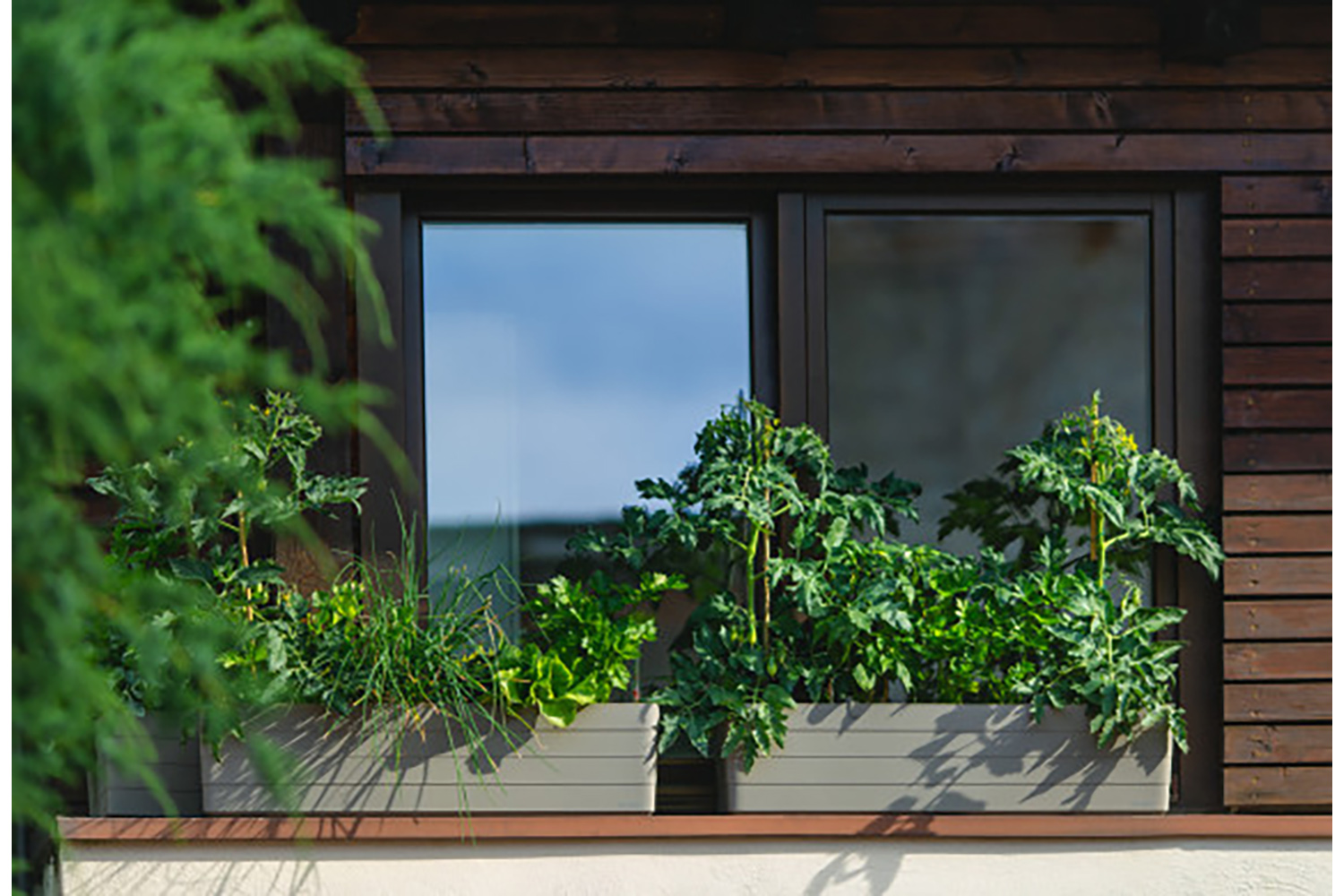 Plastia Berberis Flower Box | Taupe & Beige | 60cm