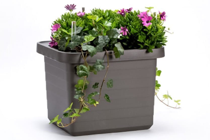 Plastia Berberis Flower Box Uno | Grey| 45cm