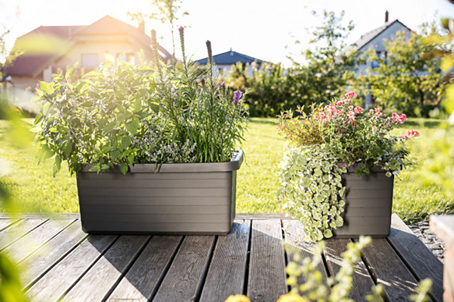 Plastia Berberis Flower Box Uno | Grey| 45cm