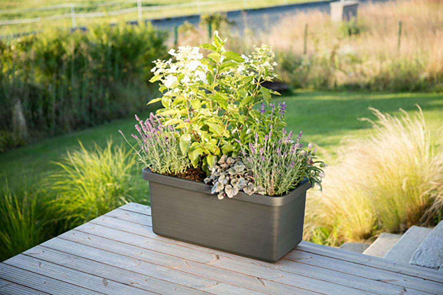 Plastia Berberis Flower Box Duo | Grey | 78cm