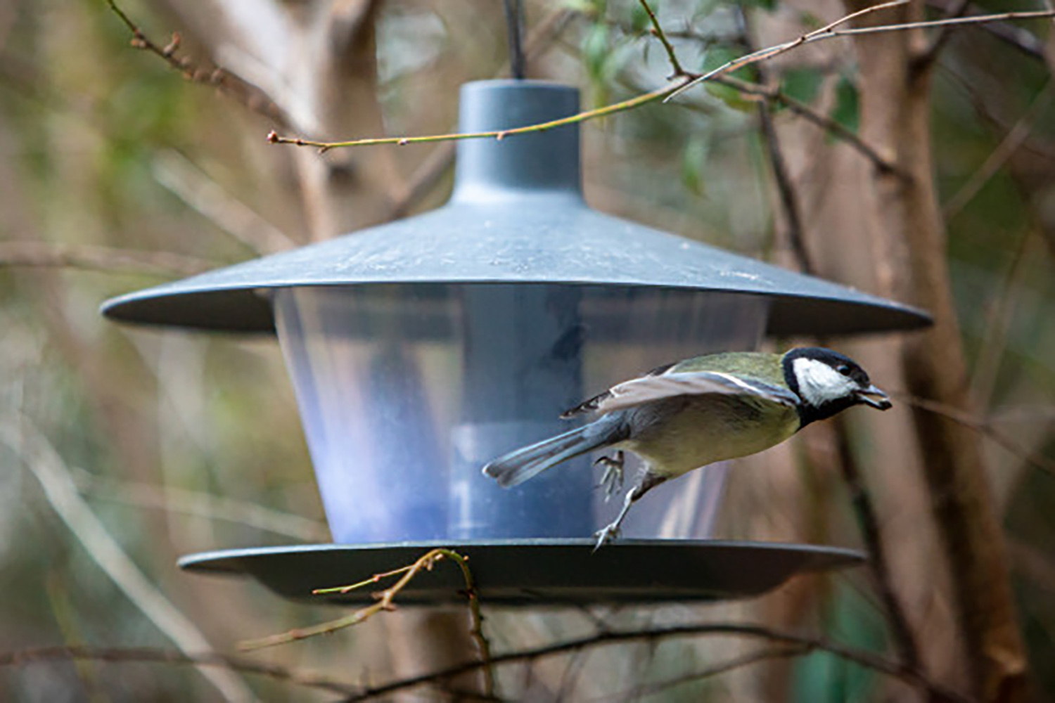 Plastia Finch Bird Feeder | Anthracite | 28cm