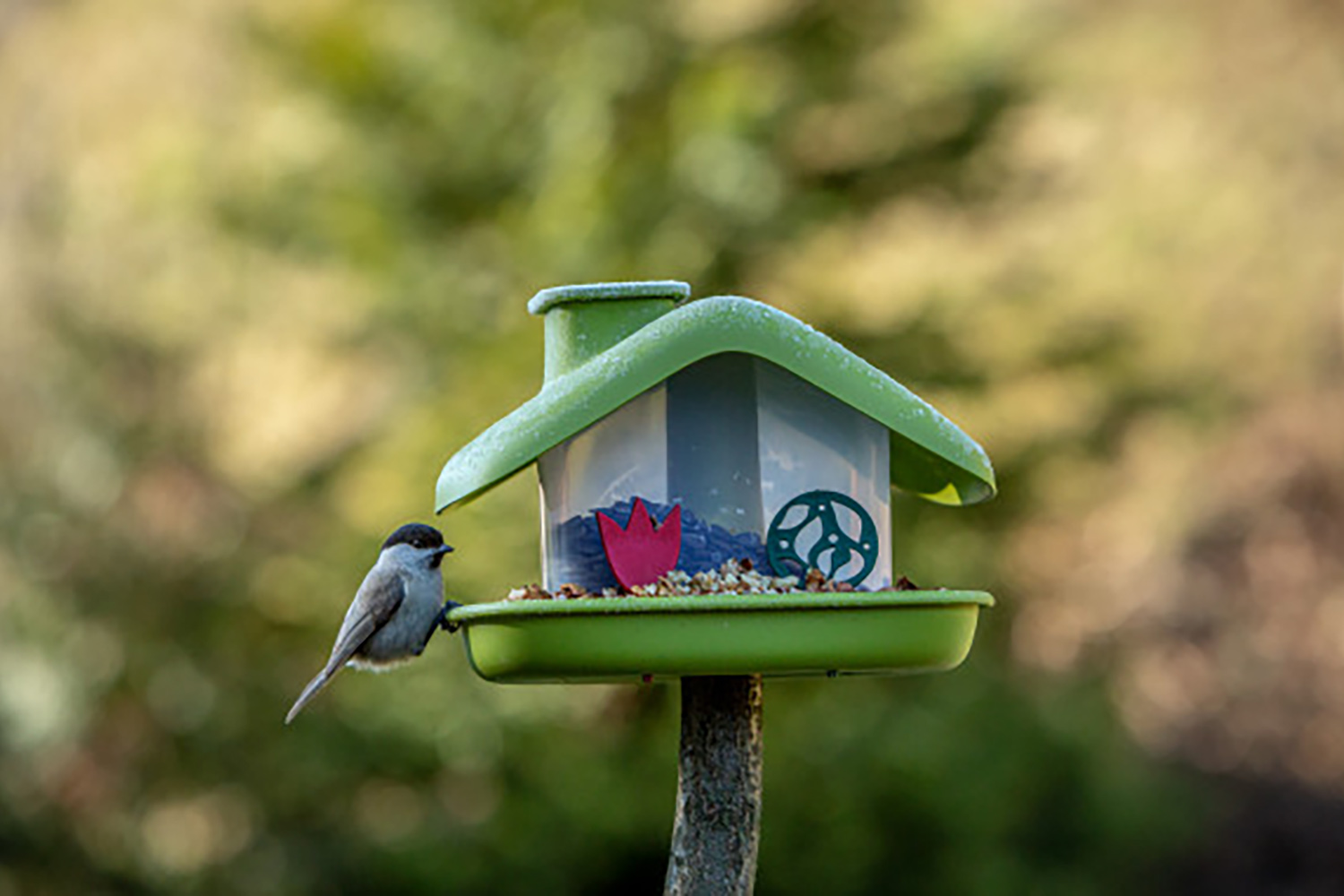 Plastia Domek Bird Feeder | Green | 21cm