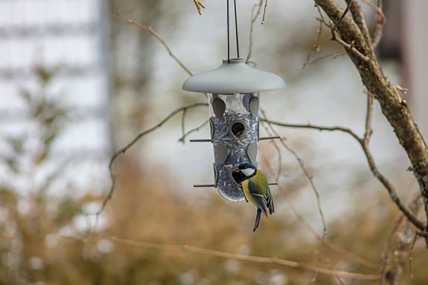 Plastia Robin Birdfeeder Birdbath | Anthracite | 22cm