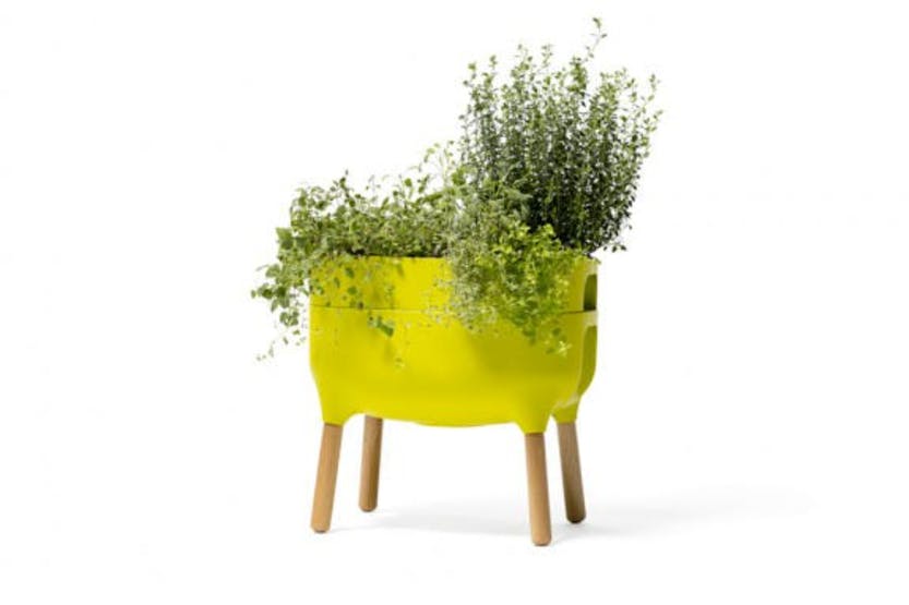 Plastia  Indoor Low Planter Urbalive | Green | 47.5cm