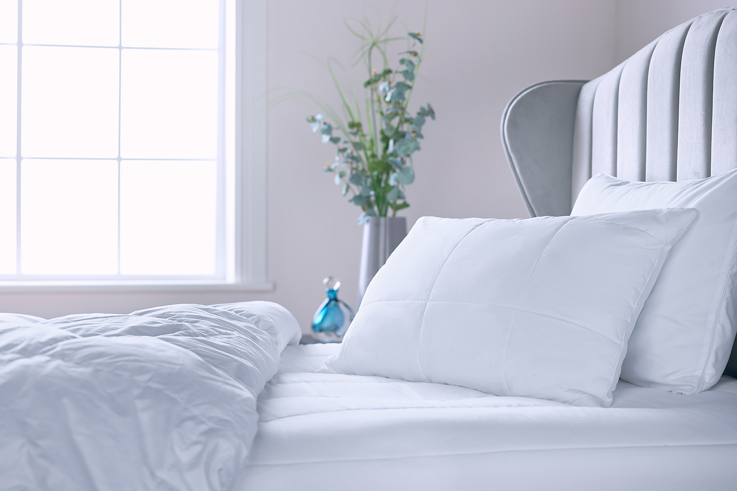 Pillows Harvey Norman Ireland