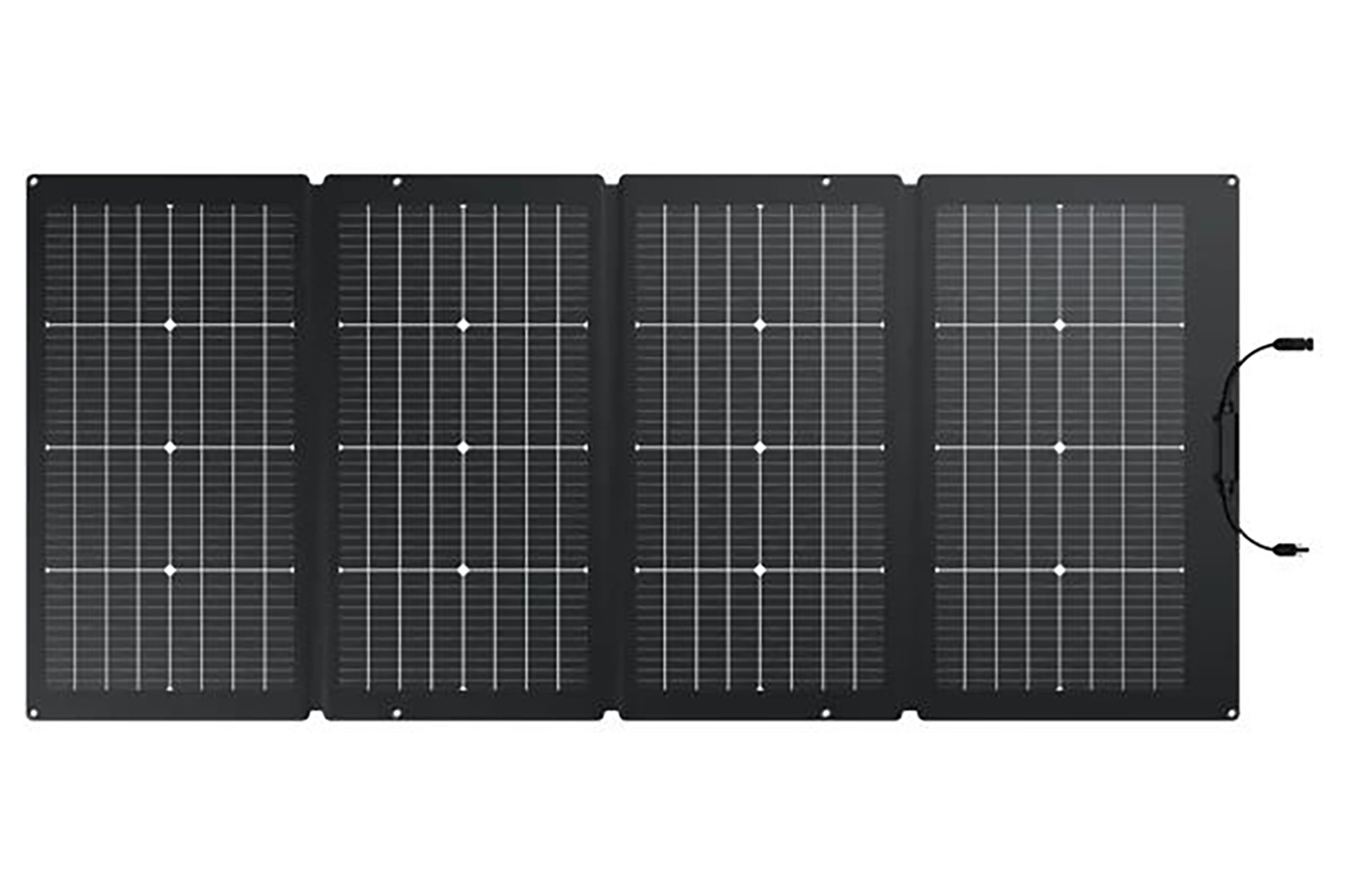 Ecoflow 220W Bifacial Solar Panel