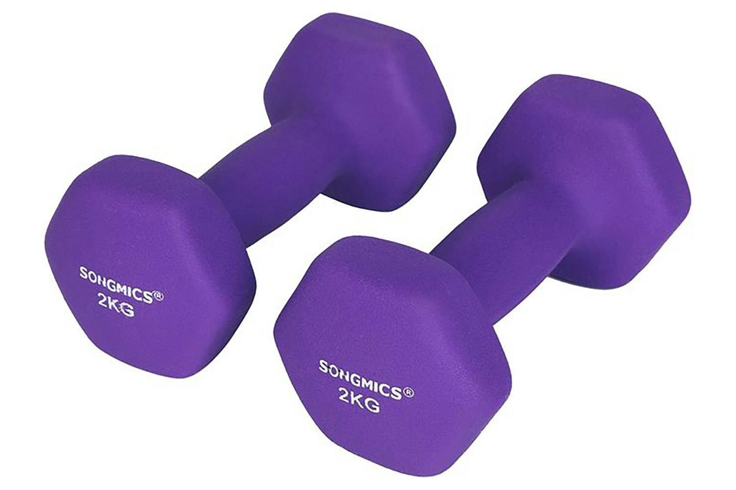 Songmics SYL64PL Dumbbells | Purple | Set of 2