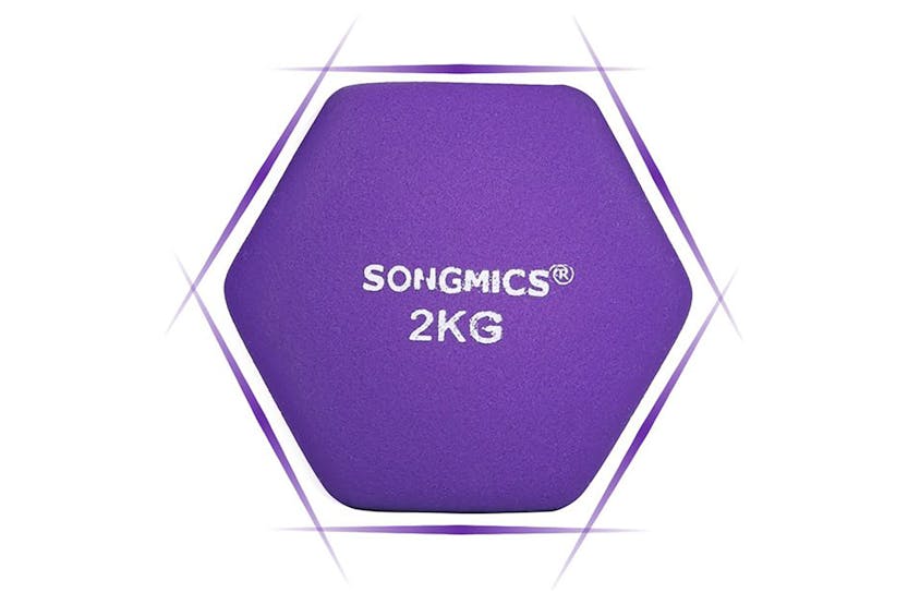 Songmics SYL64PL Dumbbells | Purple | Set of 2
