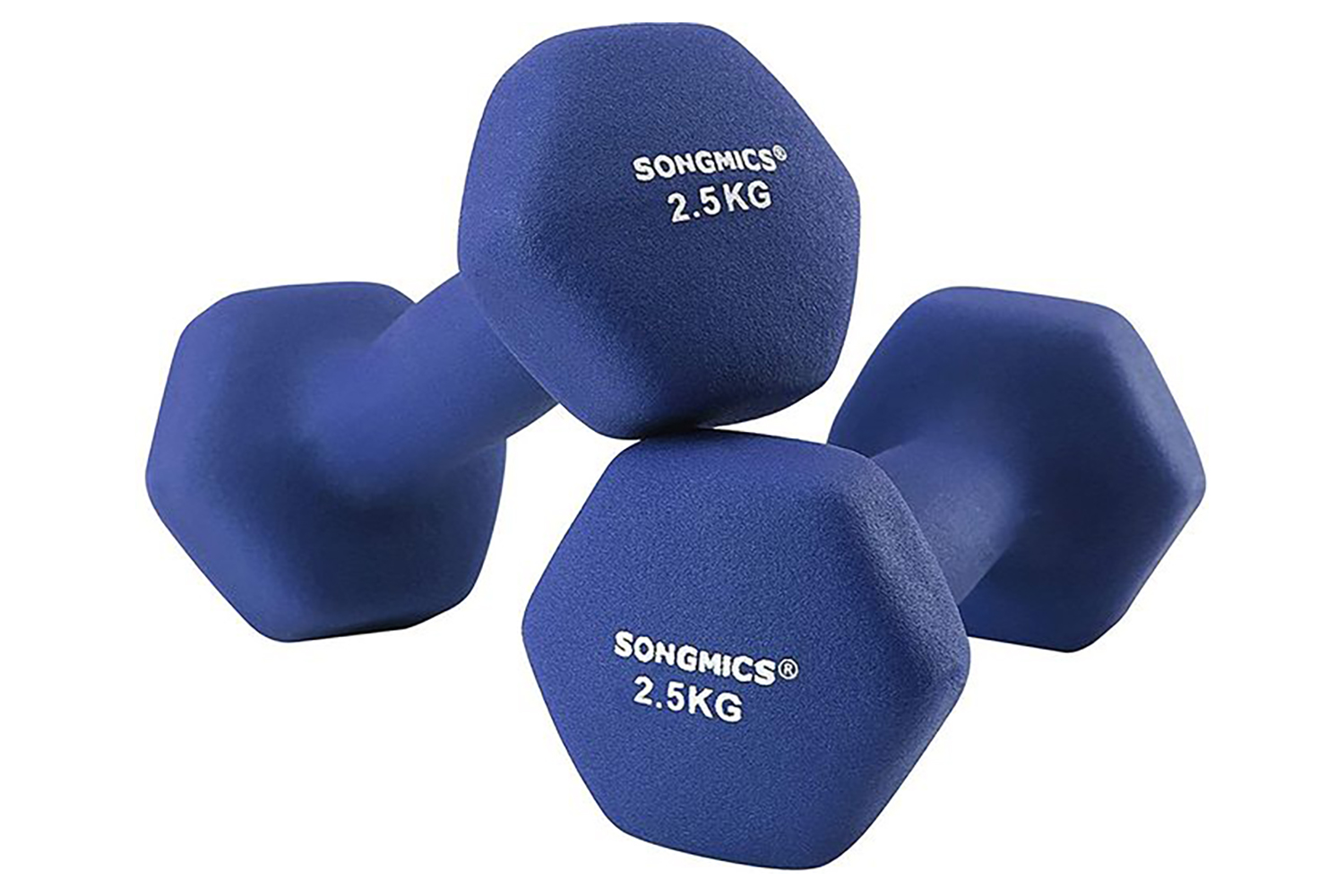 Songmics SYL65BU Dumbbells | Blue | Set of 2