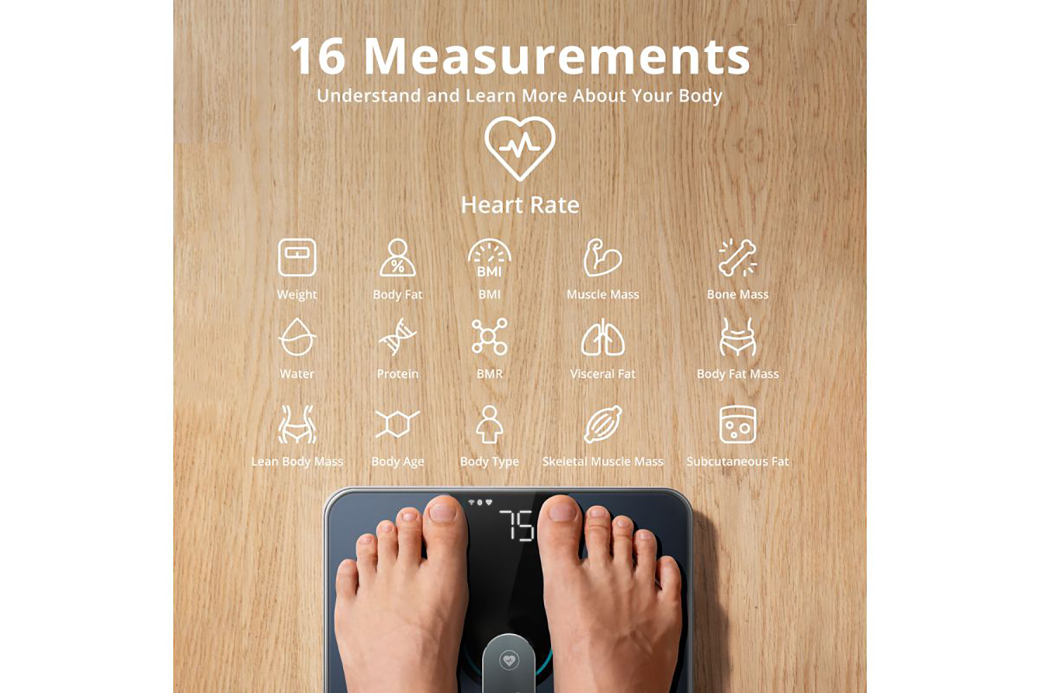 Eufy Smart Scale P2 Pro | Black