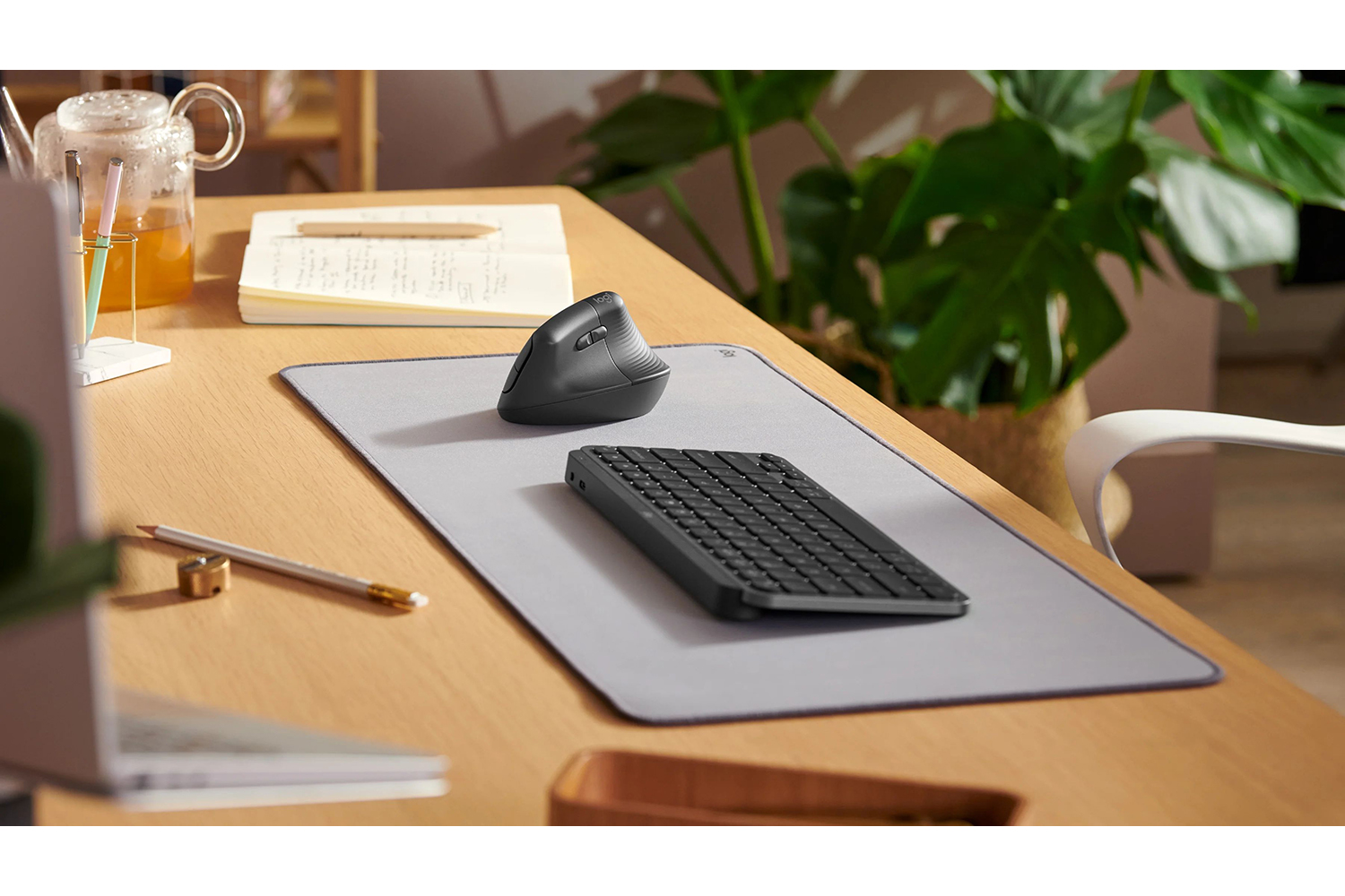 Logitech Ergo Series Lift Vertical Mouse | Graphite